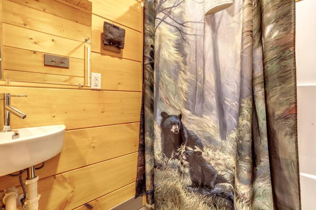 Dancing Bear Cabin- Relax & Enjoy! Sevierville Extérieur photo