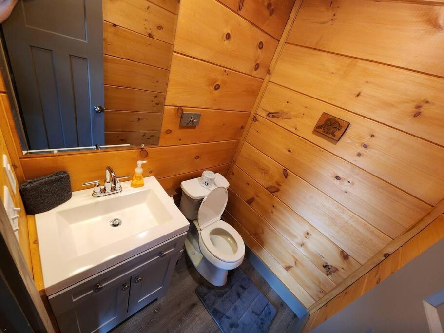 Dancing Bear Cabin- Relax & Enjoy! Sevierville Extérieur photo