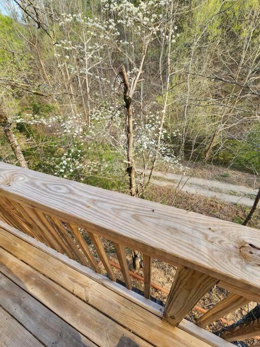 Dancing Bear Cabin- Relax & Enjoy! Sevierville Extérieur photo